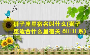 狮子座星宿名叫什么(狮子座适合什么星宿关 🐎 系)